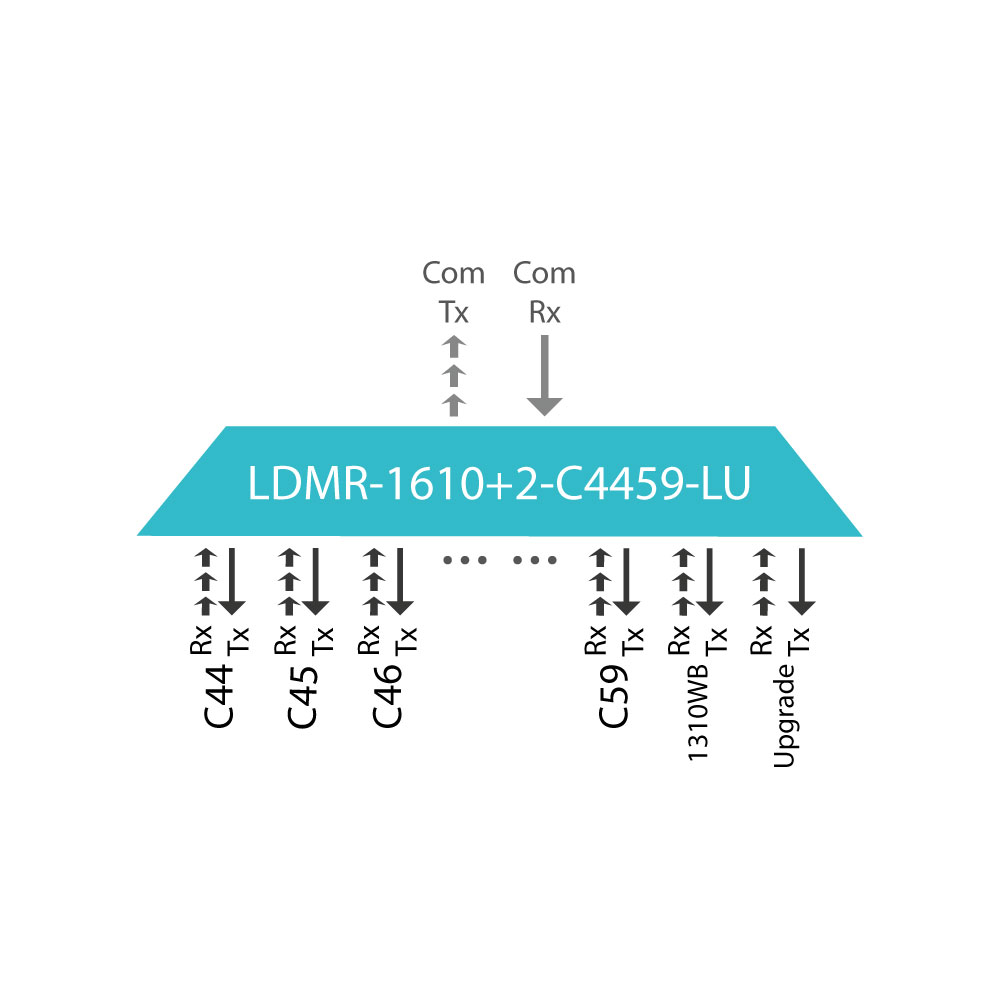 LDMR-1610+2-C4459-LU-thumbnail-01