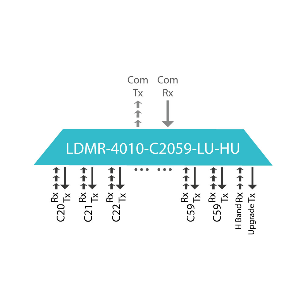 LDMR-4010-C2059-LU-HU-thumbnail-01
