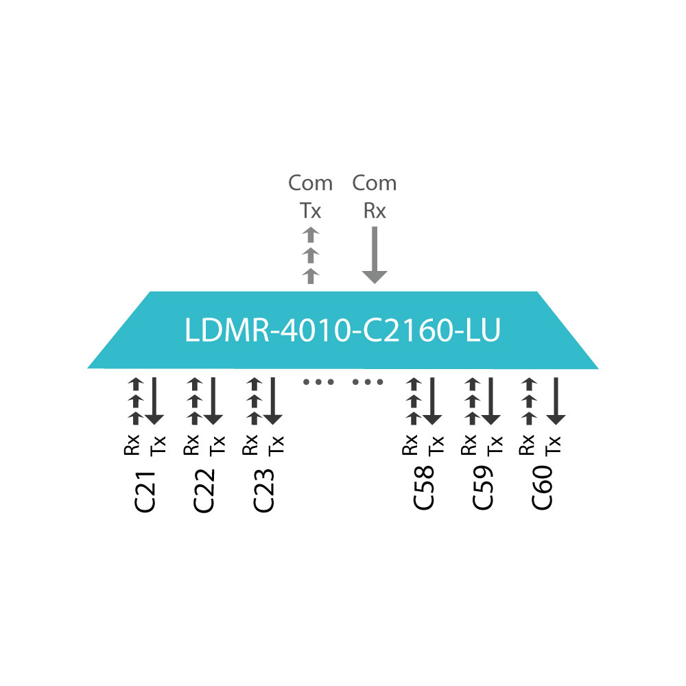 LDMR-4010-C2160-LU-thumbnail-01